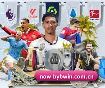 now-bybwin.com.cn APP
